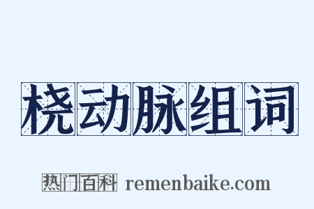 桡动脉组词是什么意思的图片